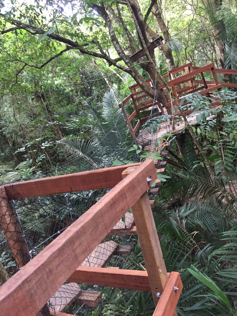 trecho do arborismo